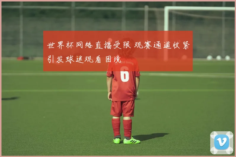 世界杯网络直播受限 观赛通道收紧引发球迷观看困境