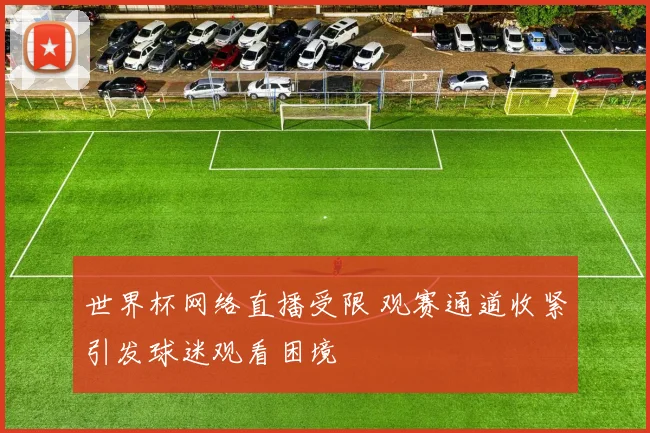 世界杯网络直播受限 观赛通道收紧引发球迷观看困境